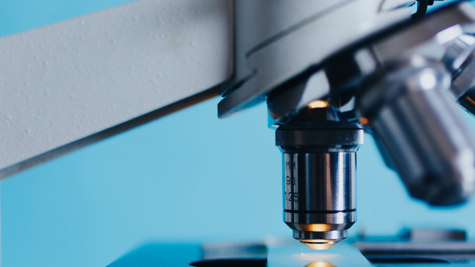 Begriffe und Merkmale