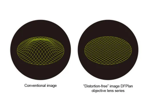 Flexibles Stereomikroskop mit großem Zoombereich