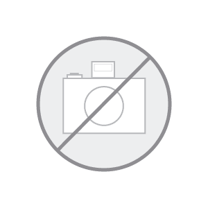 iOptron Montierung GEM45 EC Mount Head with Case (Fast neuwertig)