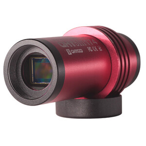 QHY Kamera 5III 174M Mono