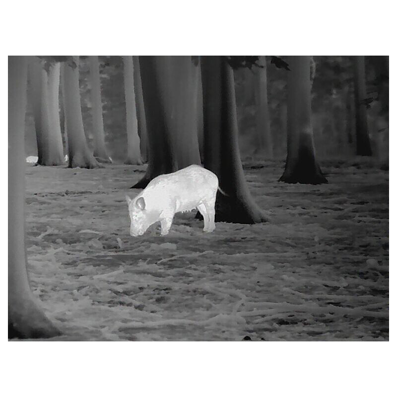 Leica Thermalkamera Calonox View