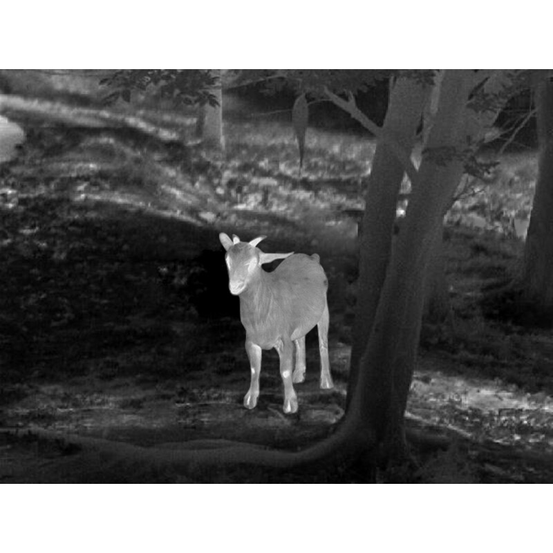 Guide Thermalkamera TD633L